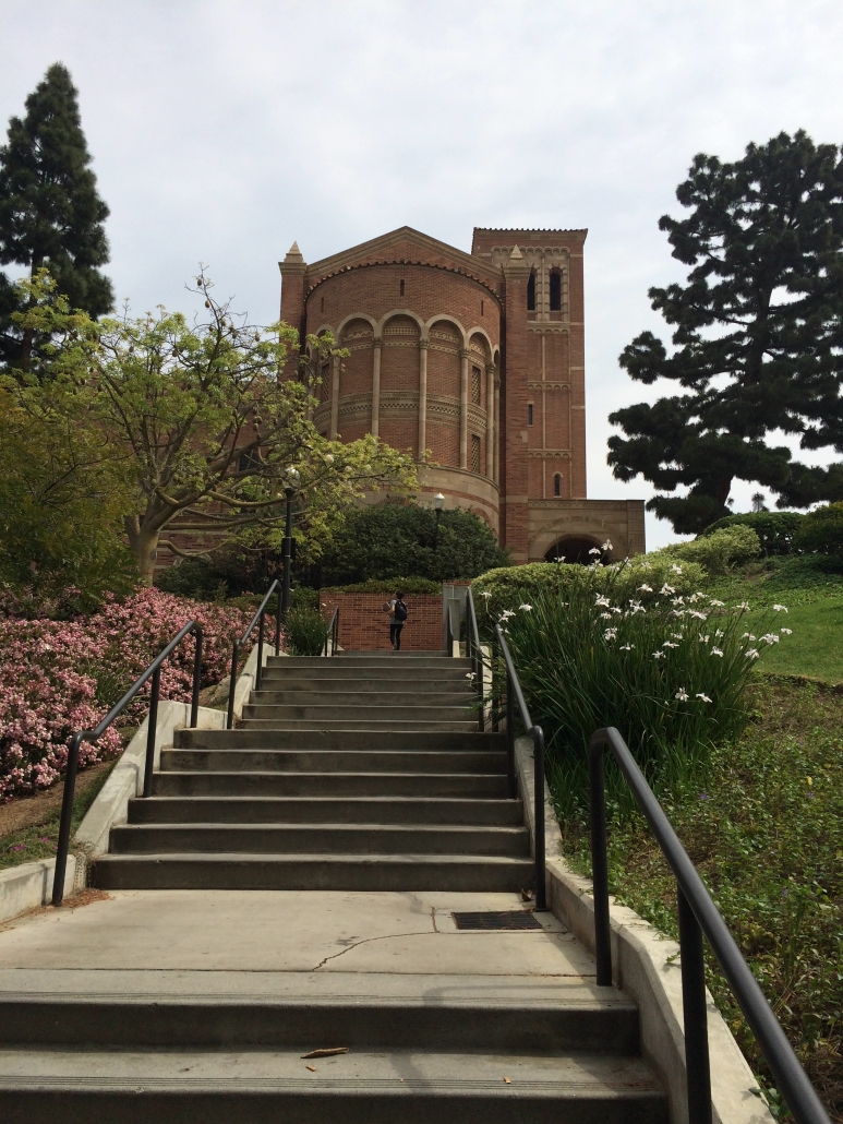 A staircase surrounded by flowering plants and trees leads toward Royce Hall on the UCLA campus.